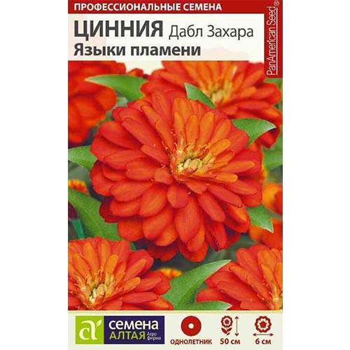Цинния Дабл Захара Языки пламени Семена Алтая артикул фото 1 Цинния Дабл Захара Языки пламени Семена Алтая изображение 1 артикул 78267