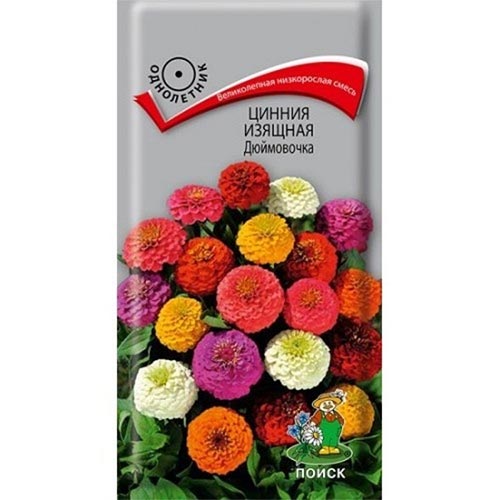 Цинния Дюймовочка Поиск изображение 1 артикул 93153