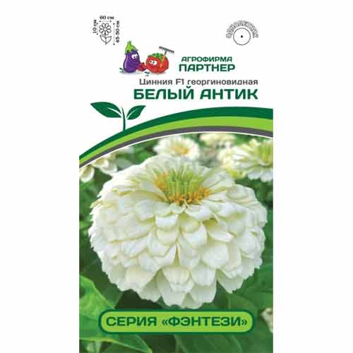 Цинния георгиновидная Фэнтези Белый Антик F1 Партнер изображение 1 артикул 40750