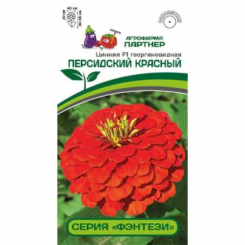 Цинния георгиновидная Фэнтези Персидский Красный F1 Партнер изображение 1 артикул 97252