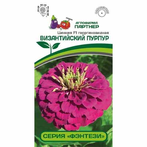 Цинния георгиновидная Фэнтези Византийский Пурпур F1 Партнер изображение 1 артикул 97251