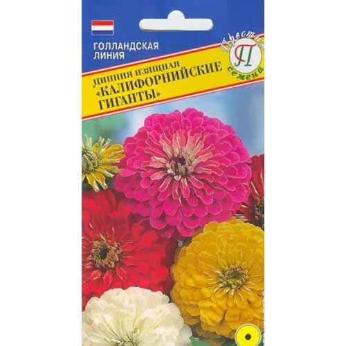 Цинния изящная Калифорнийские гиганты, смесь окрасок Престиж артикул фото 1 Цинния изящная Калифорнийские гиганты, смесь окрасок Престиж изображение 1 артикул 71595