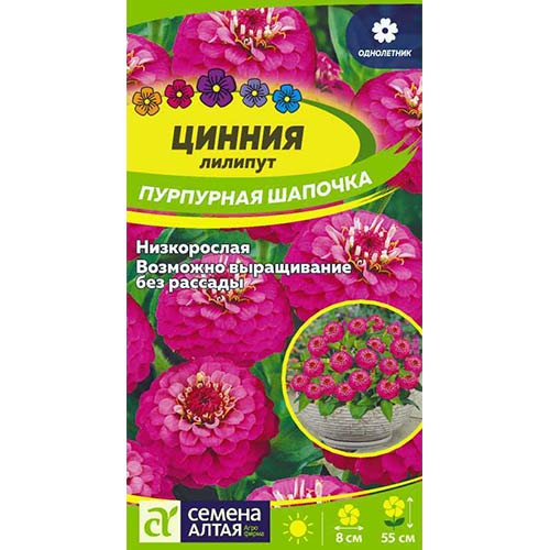 Цинния лилипут Пурпурная шапочка Семена Алтая артикул фото 1 Цинния лилипут Пурпурная шапочка Семена Алтая изображение 1 артикул 81823