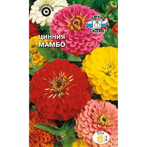 Цинния Мамбо, смесь окрасок Седек изображение 1 артикул 94887