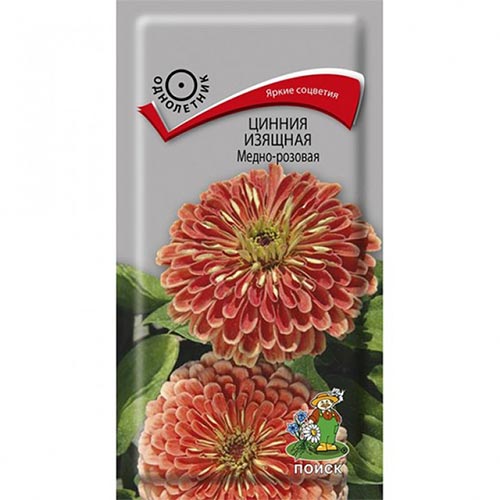 Цинния Медно-розовая Поиск изображение 1 артикул 93155