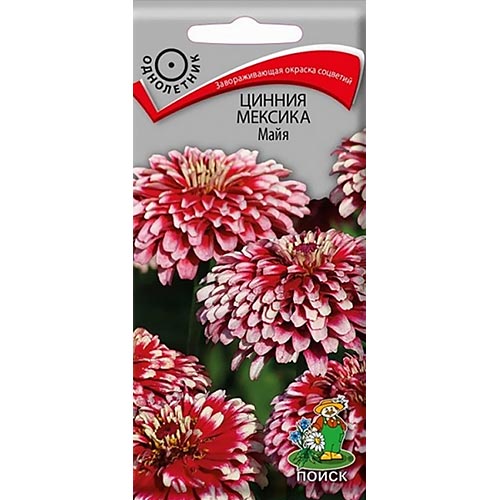 Цинния Мексика Майя Поиск изображение 1 артикул 93156