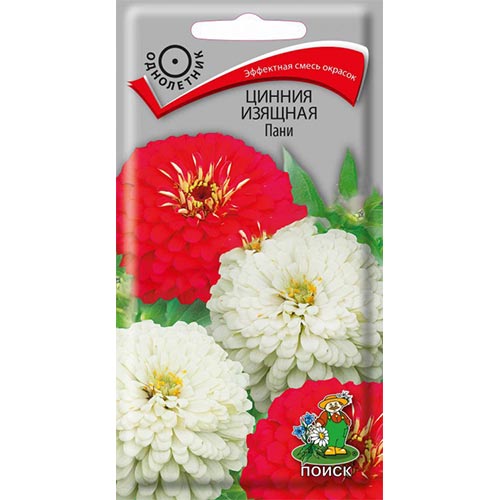 Цинния Пани Поиск изображение 1 артикул 93159