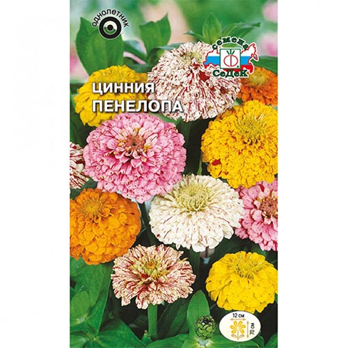 Цинния Пенелопа, смесь окрасок Седек изображение 1 артикул 94007