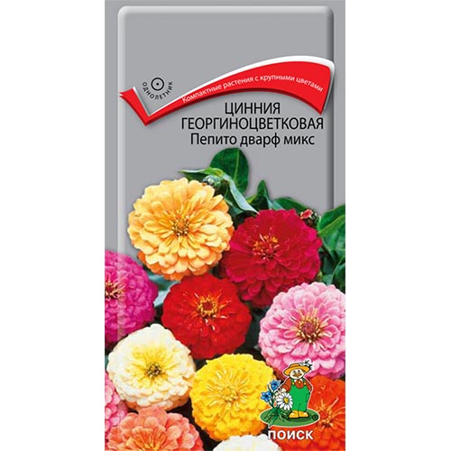 Цинния Пепито Дварф, смесь окрасок Поиск изображение 1 артикул 93160