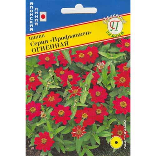 Цинния Профьюжен Огненная Престиж изображение 1 артикул 81411