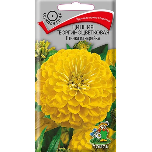 Цинния Птичка канарейка Поиск изображение 1 артикул 93161