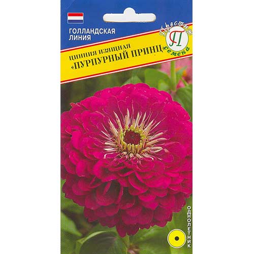 Цинния Пурпурный Принц Престиж изображение 1 артикул 71598