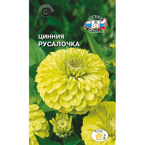 Цинния Русалочка Седек изображение 1 артикул 94009