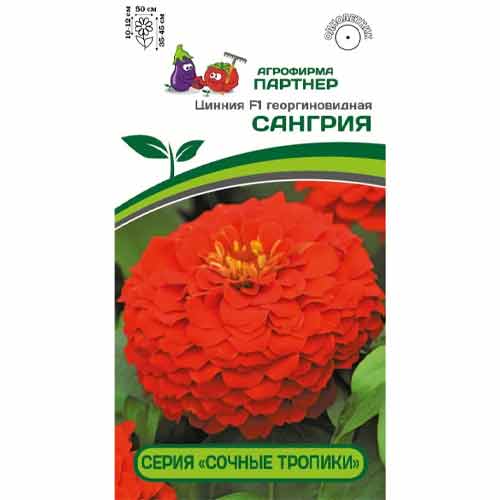 Цинния георгиновидная Сочные тропики Сангрия F1 Партнер изображение 1 артикул 84828