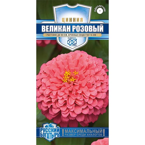 Цинния Великан розовый Гавриш изображение 1 артикул 92265