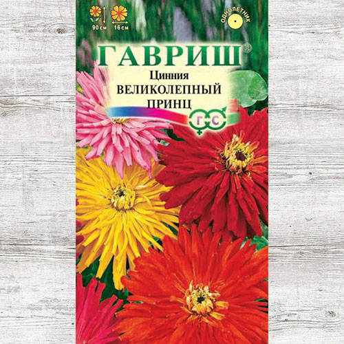 Цинния Великолепный Принц, смесь окрасок Гавриш артикул фото 1 Цинния Великолепный Принц, смесь окрасок Гавриш изображение 1 артикул 71273