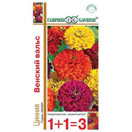 Цинния Венский вальс, смесь окрасок Гавриш изображение 1 артикул 92267