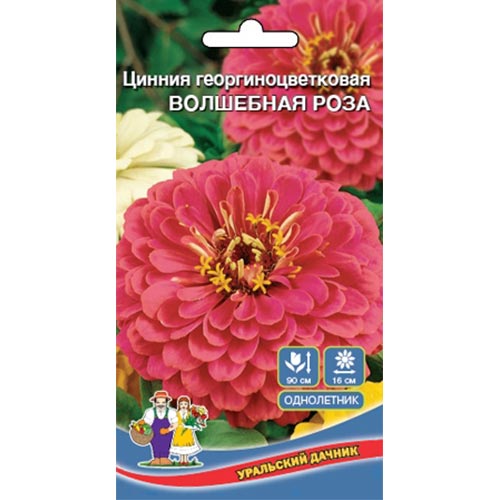 Цинния Волшебная роза, смесь окрасок Уральский дачник изображение 1 артикул 94851