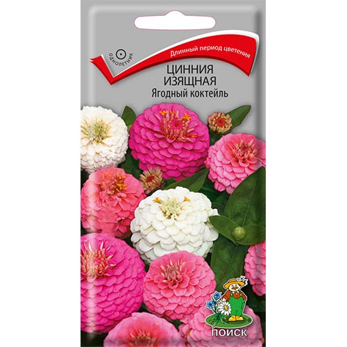 Цинния Ягодный коктейль, смесь окрасок Поиск изображение 1 артикул 93166