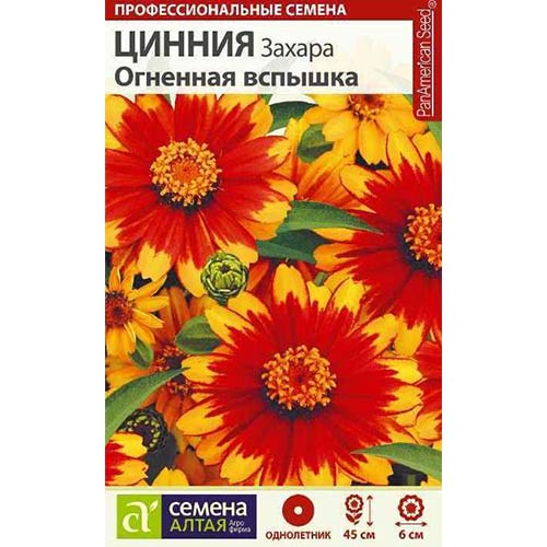 Цинния Захара Огненная вспышка Семена Алтая артикул фото 1 Цинния Захара Огненная вспышка Семена Алтая изображение 1 артикул 78269