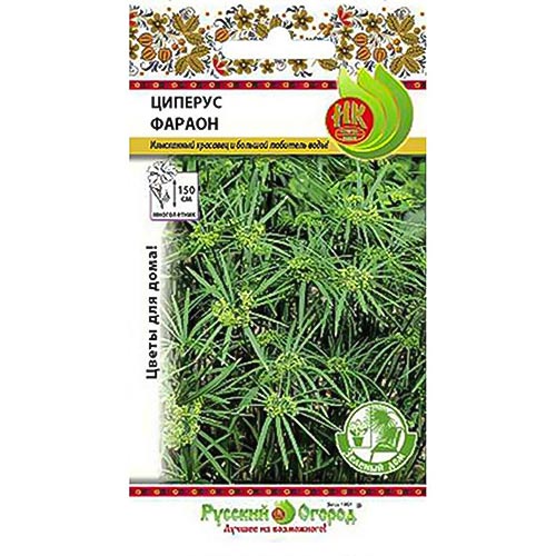 Циперус Фарао НК изображение 1 артикул 92649