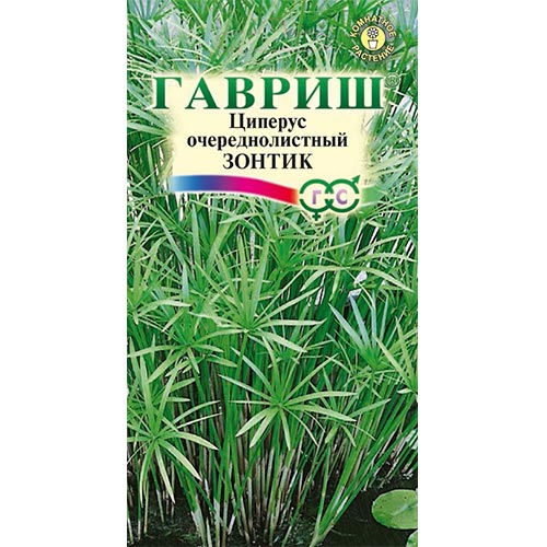 Циперус Зонтик Гавриш изображение 1 артикул 92276