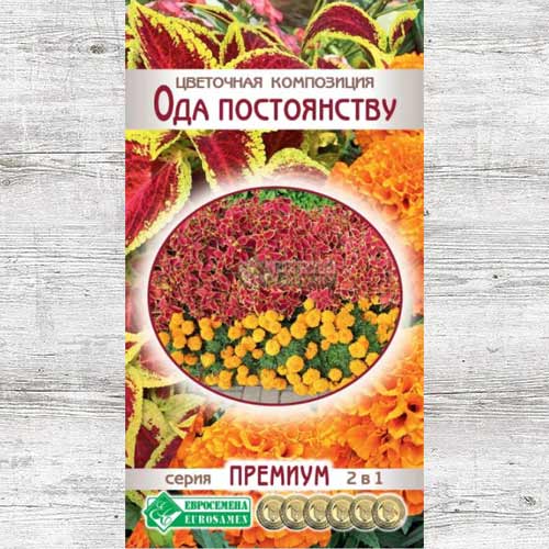 Цветочная композиция Ода постоянству, смесь окрасок изображение 1 артикул 83409