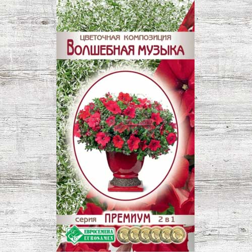 Цветочная композиция Волшебная музыка, смесь окрасок изображение 1 артикул 83397