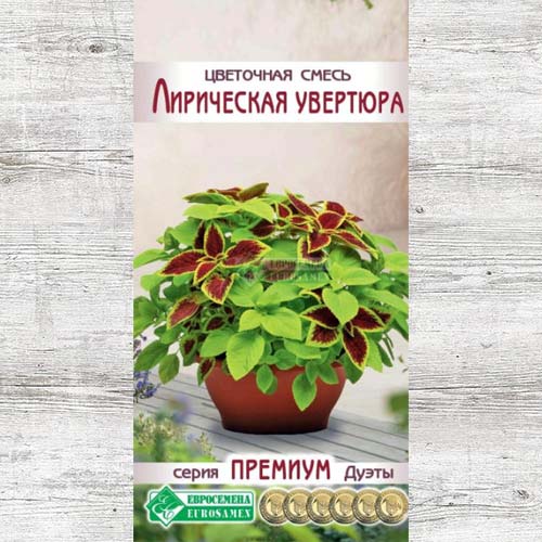 Цветочная смесь Лирическая увертюра, смесь окрасок артикул фото 1 Цветочная смесь Лирическая увертюра, смесь окрасок изображение 1 артикул 83426