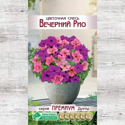 Цветочная смесь Вечерний Рио, смесь окрасок артикул фото 1 Цветочная смесь Вечерний Рио, смесь окрасок изображение 1 артикул 83422