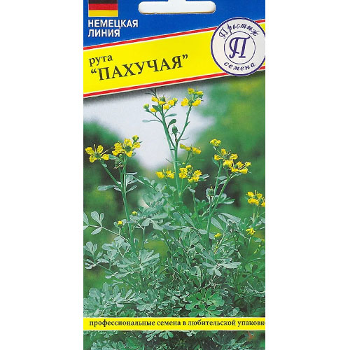 Рута овощная Престиж изображение 1 артикул 93223