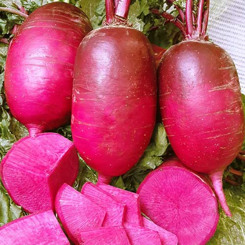 Дайкон Малиновый нектар F1 изображение 1 артикул 65328