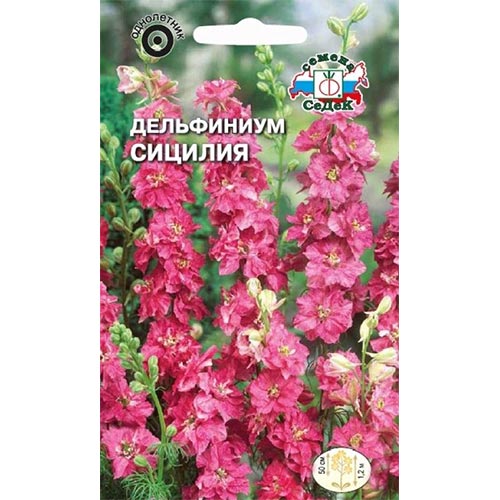 Дельфиниум Сицилия Седек изображение 1 артикул 93773