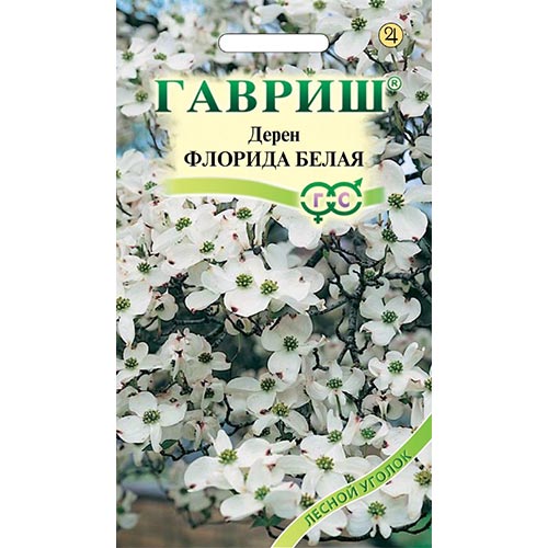 Дерен белый Флорида Гавриш изображение 1 артикул 92045