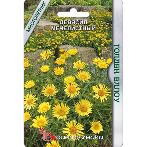 Девясил мечелистный Голден Еллоу Биотехника артикул фото 1 Девясил мечелистный Голден Еллоу Биотехника изображение 1 артикул 91505