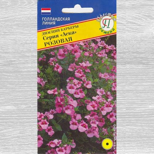 Диасция барберы Аска Розовая артикул фото 1 Диасция барберы Аска Розовая изображение 1 артикул 73647