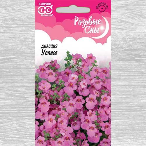 Диасция Успех артикул фото 1 Диасция Успех изображение 1 артикул 82371