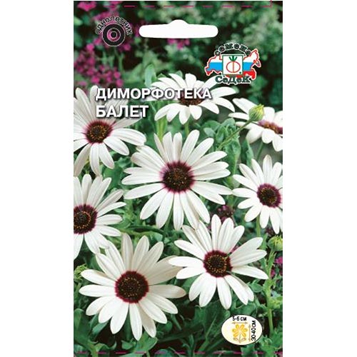 Диморфотека Балет Седек изображение 1 артикул 93777