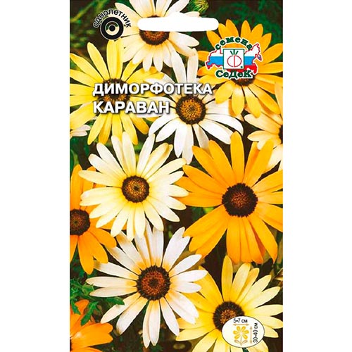 Диморфотека Караван, смесь окрасок Седек изображение 1 артикул 93778