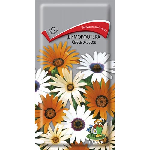 Диморфотека, смесь окрасок Поиск изображение 1 артикул 92977