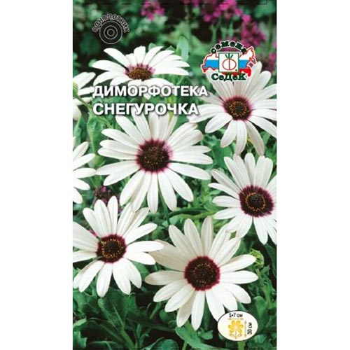 Диморфотека Снегурочка Седек изображение 1 артикул 93779