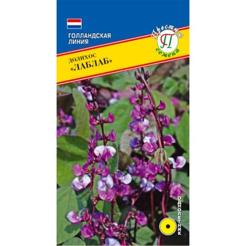 Гиацинтовые бобы (долихос) Лаблаб Престиж артикул фото 1 Гиацинтовые бобы (долихос) Лаблаб Престиж изображение 1 артикул 84474