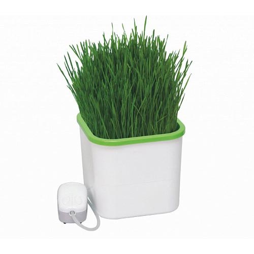 Домашний АэроСАД артикул фото 2 Домашний АэроСАД изображение 2 артикул 85211