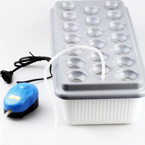 Домашняя установка: «Луковое счастье» артикул фото 3 Домашняя установка: «Луковое счастье» изображение 3 артикул 85214