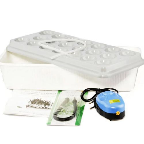 Домашняя установка: «Луковое счастье» артикул фото 4 Домашняя установка: «Луковое счастье» изображение 4 артикул 85214