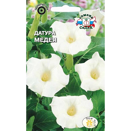 Дурман (датура) Медея Седек изображение 1 артикул 93782