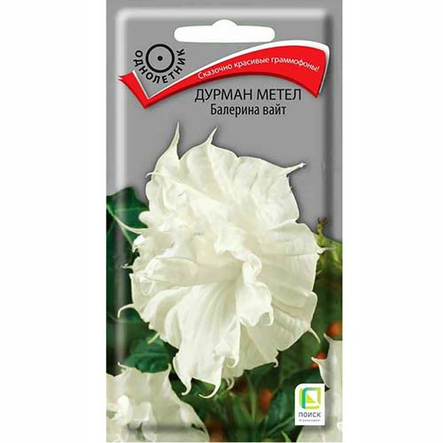 Дурман метел Балерина Вайт Поиск изображение 1 артикул 82122