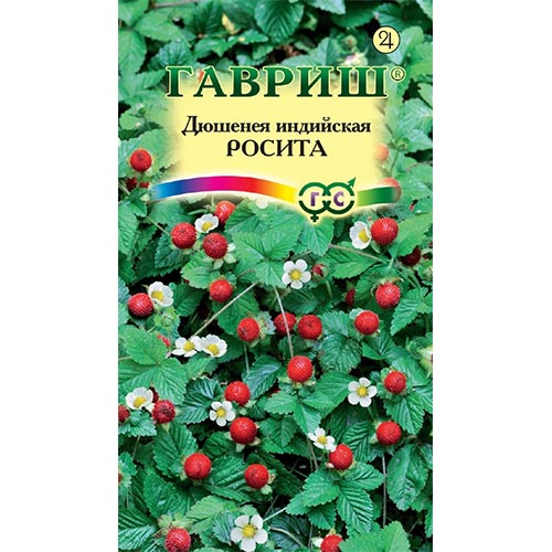 Дюшенея индийская Росита Гавриш изображение 1 артикул 92050