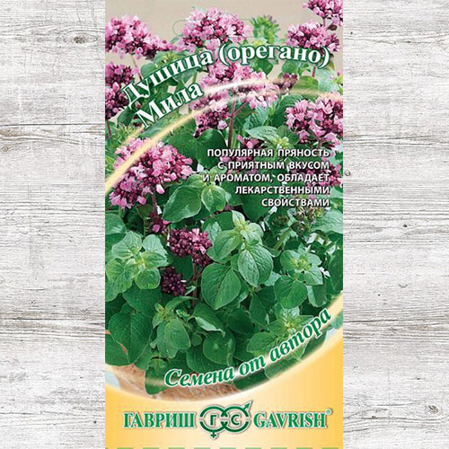 Душица (орегано) Мила Гавриш артикул фото 1 Душица (орегано) Мила Гавриш изображение 1 артикул 82155