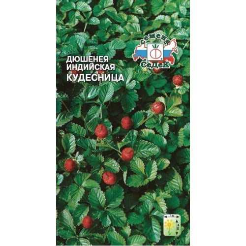 Дюшенея индийская Кудесница Седек изображение 1 артикул 93783